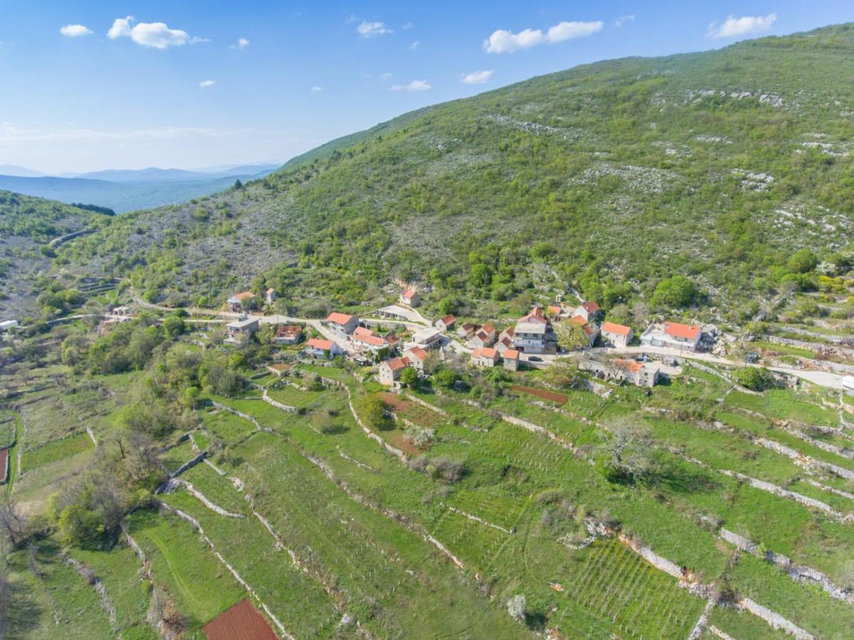 Apartman IVA Krivodol Bagian luar foto